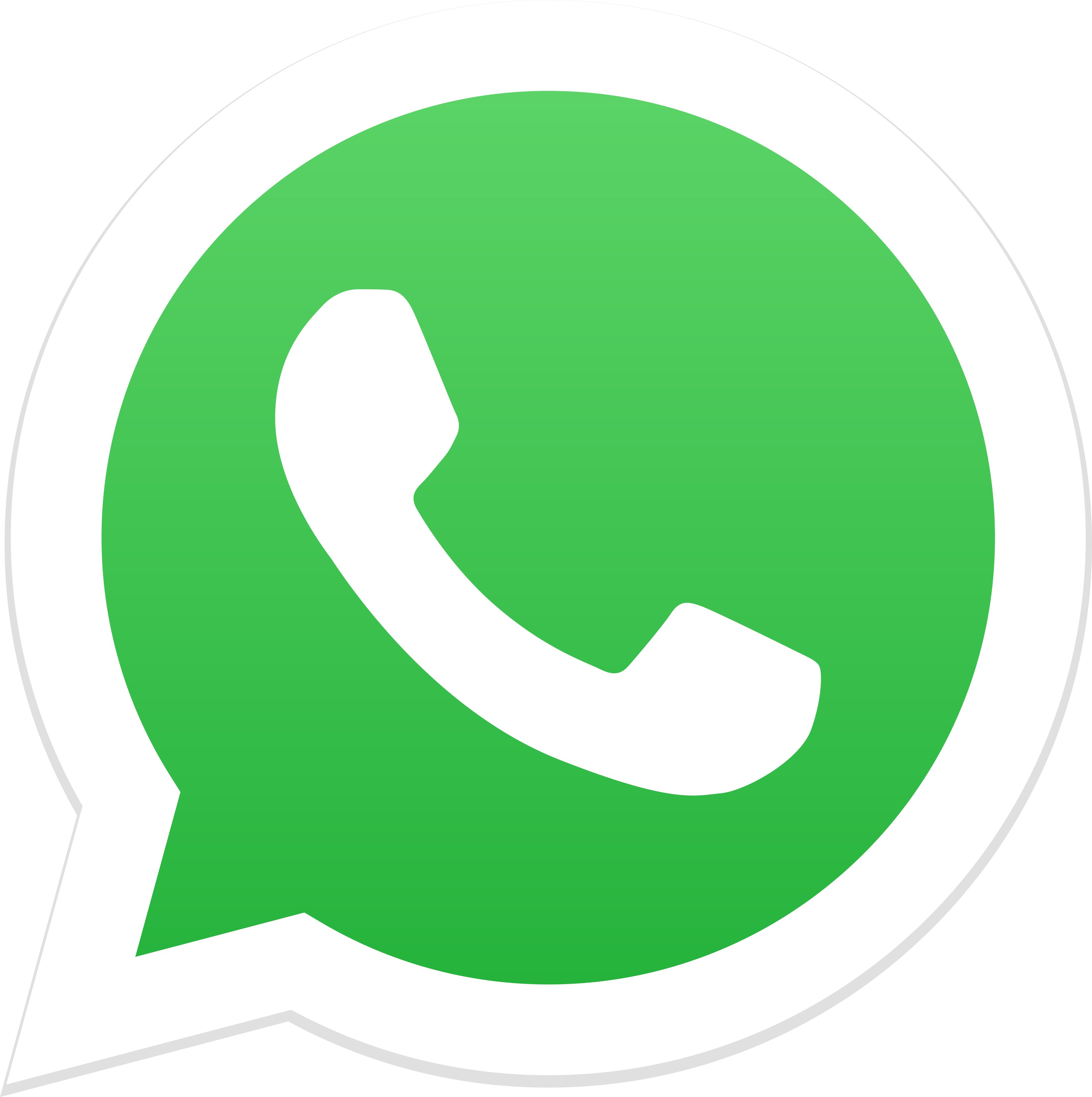 WhatsApp contact